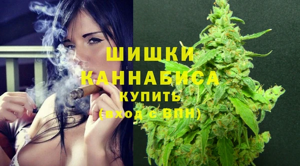 spice Коряжма