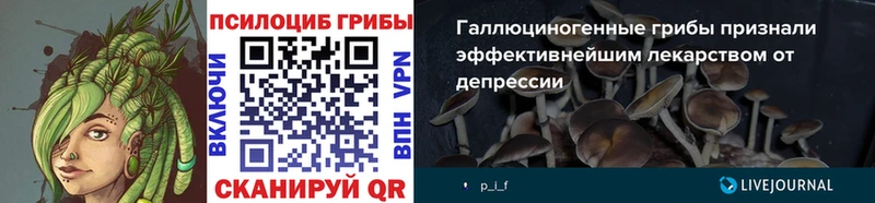 Купить где  Воркута  Псилоцибиновые грибы GOLDEN TEACHER 