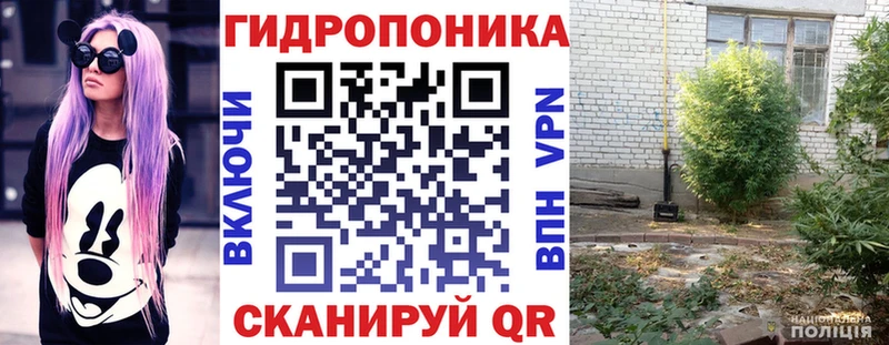 Купить закладки  Воркута  Шишки марихуана Ganja 